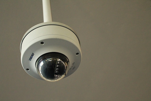 Tipos de cámaras de vigilancia y seguridad
