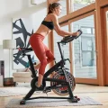Bicicleta de spinning Schwinn Fitness 100737